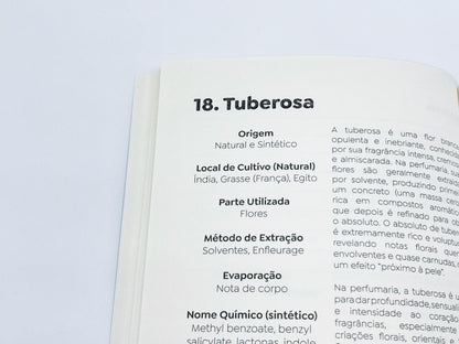 Guia de Estudos Olfateca MP1